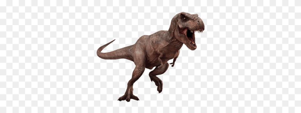 Dinosaur, Animal, Reptile, T-rex Png