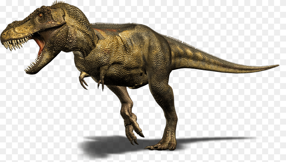 Dinosaur, Animal, Reptile, T-rex Png Image