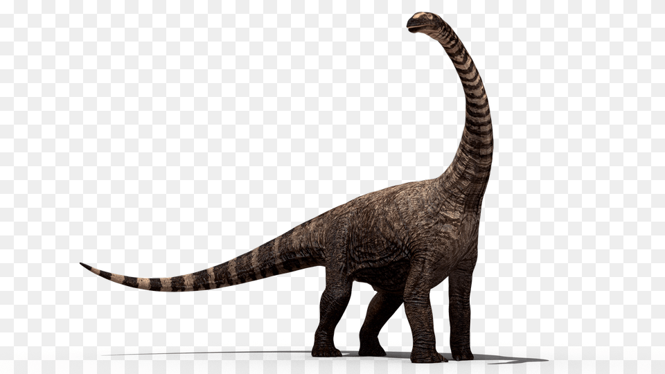 Dinosaur, Animal, Reptile, T-rex Free Png