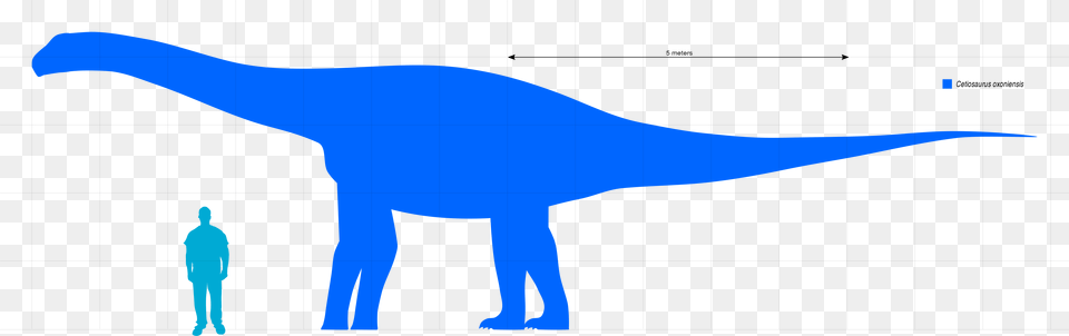 Dinosaur, Animal, Reptile, T-rex, Person Free Png