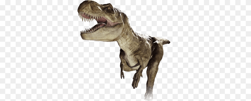 Dinosaur, Animal, Reptile, T-rex Free Png