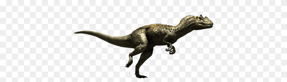 Dinosaur, Animal, Lizard, Reptile, T-rex Free Png