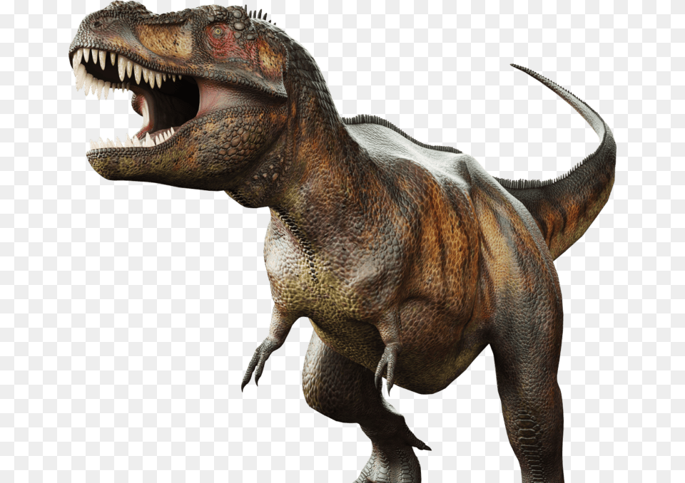 Dinosaur, Animal, Reptile, T-rex Free Png