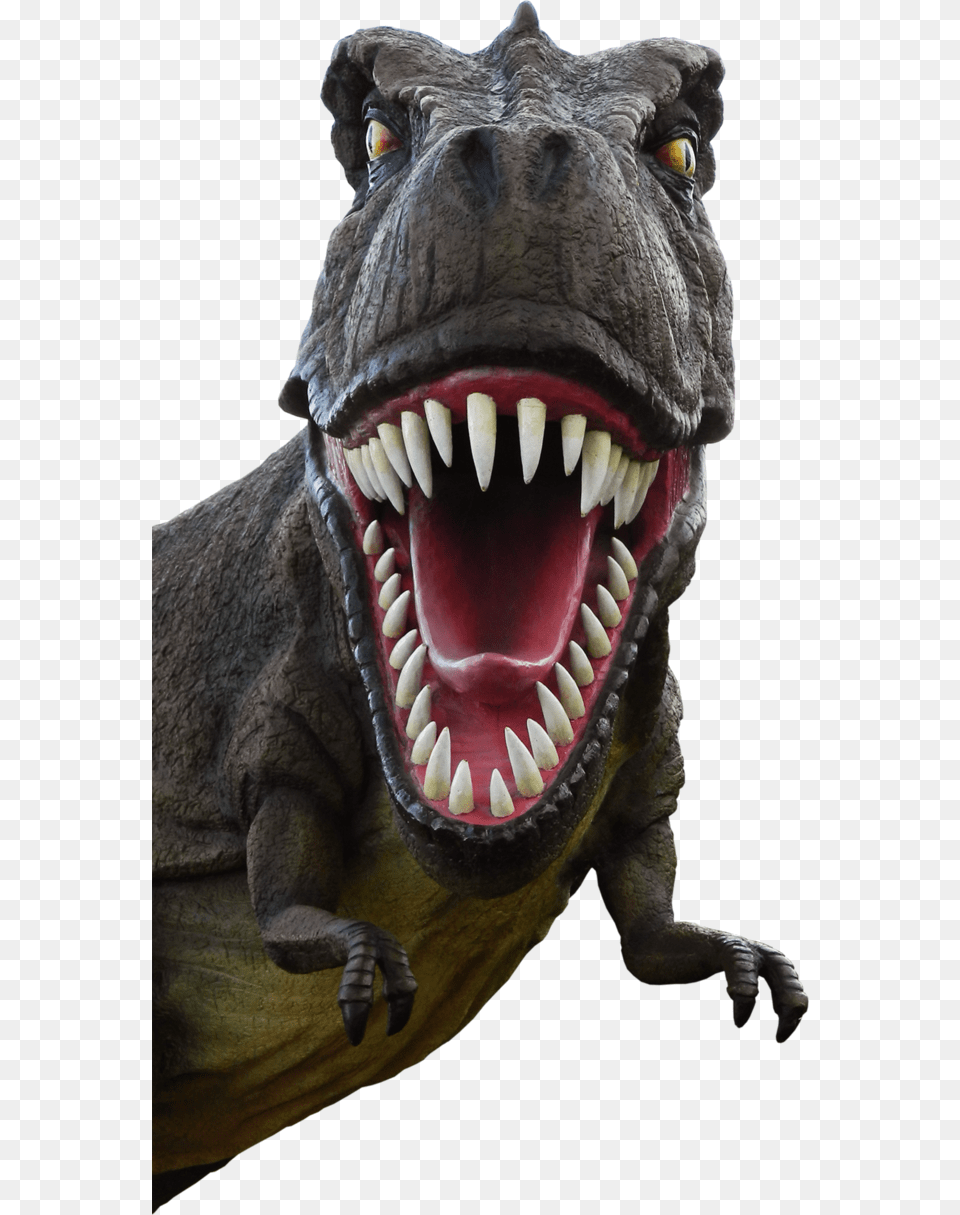 Dinosaur, Animal, Reptile, T-rex Free Png