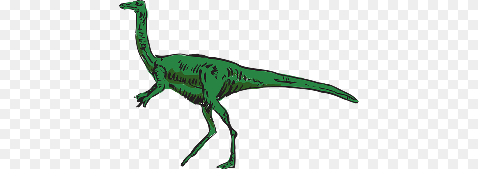 Dinosaur Animal, Reptile, T-rex, Kangaroo Png