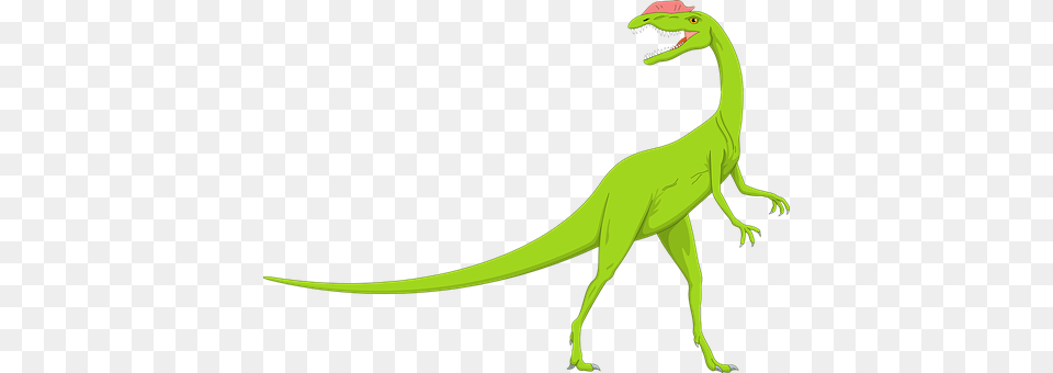 Dinosaur Animal, Reptile, T-rex Free Png Download