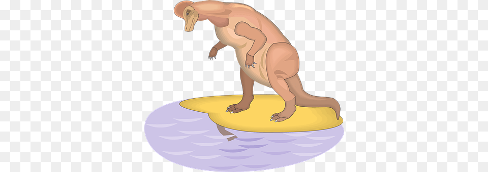 Dinosaur Water, Person, Nature, Outdoors Free Png