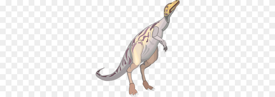 Dinosaur Animal, Reptile, Adult, Female Png