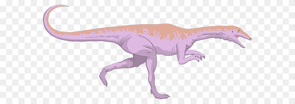 Dinosaur Animal, Reptile, Baby, Person Free Transparent Png