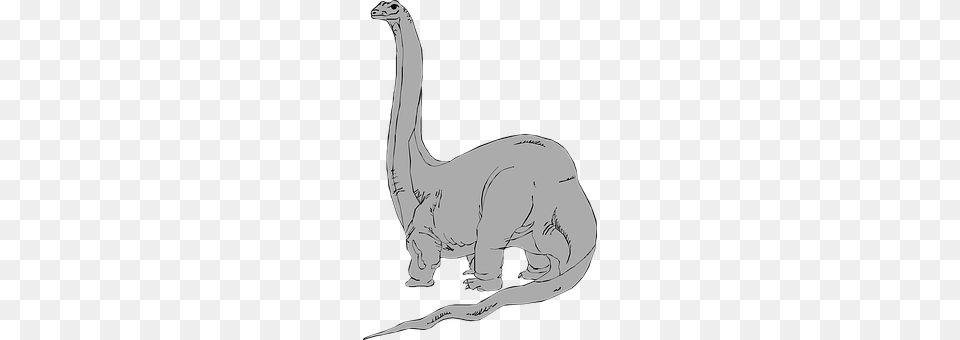 Dinosaur Animal, Person, Art Free Png Download