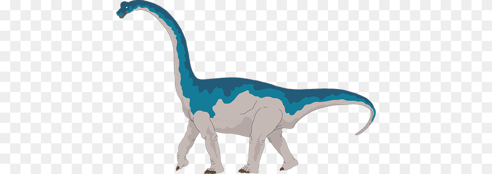 Dinosaur Animal, Reptile, T-rex Png Image