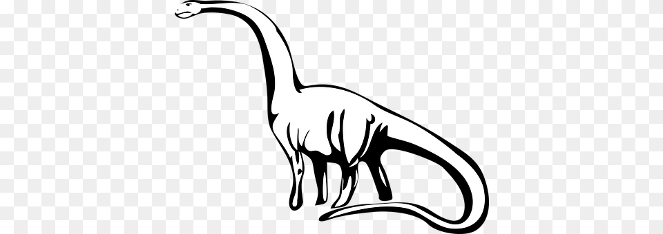Dinosaur Stencil, Animal, Reptile, Adult Png