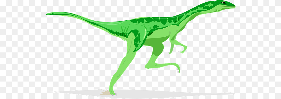 Dinosaur Animal, Reptile, T-rex, Person Free Transparent Png
