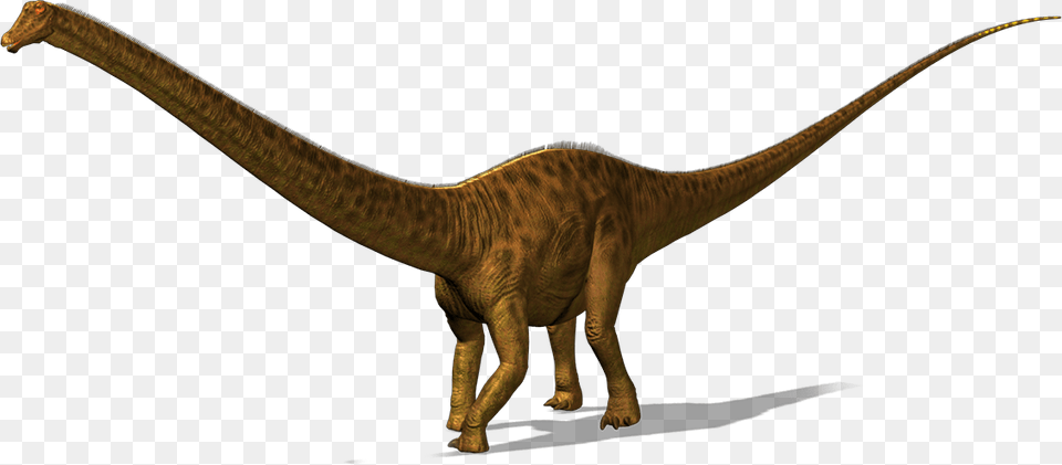 Dinosaur, Animal, Reptile, T-rex Png Image