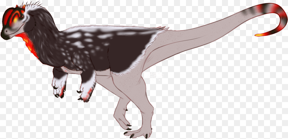 Dinosaur A Day Dilophosaurus, Animal, Reptile, T-rex Png Image