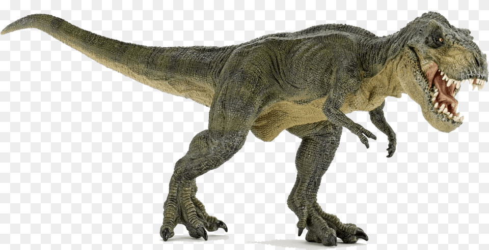 Dinosaur Angry, Animal, Reptile, T-rex Png Image