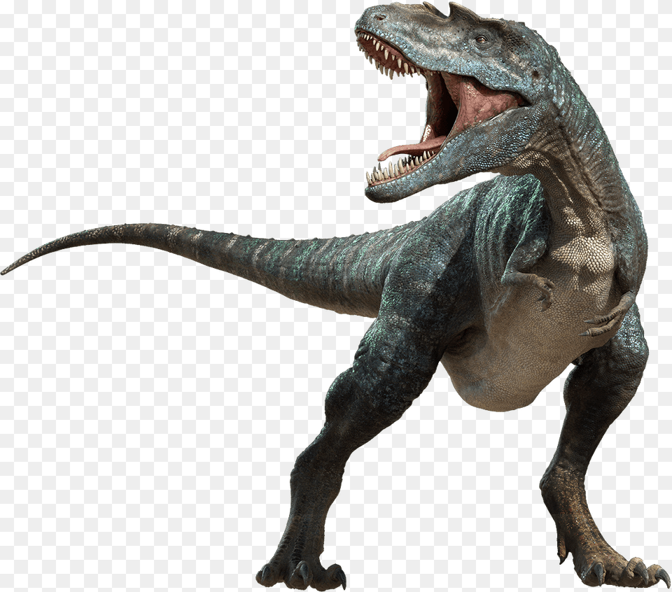 Dinosaur Attack, Animal, Reptile, T-rex Free Png