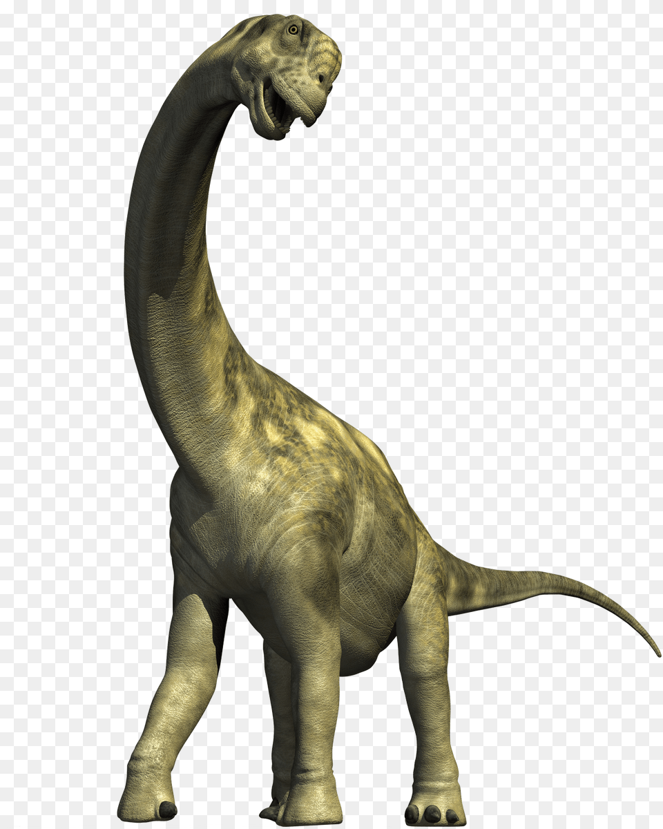 Dinosaur Background Dinosaur, Animal, Reptile, T-rex Free Png