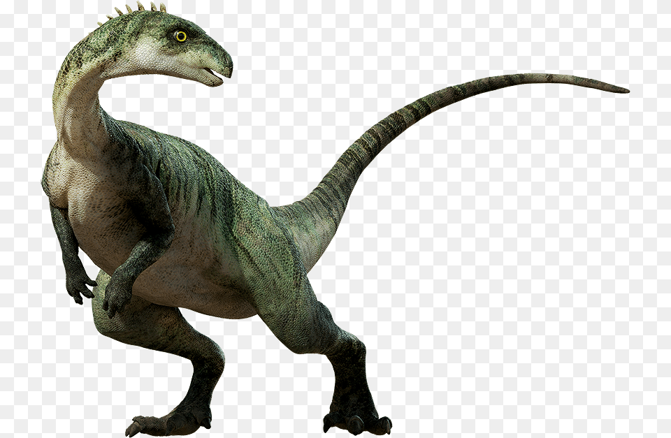 Dinosaur Background Dinosaur, Animal, Reptile, T-rex Free Png