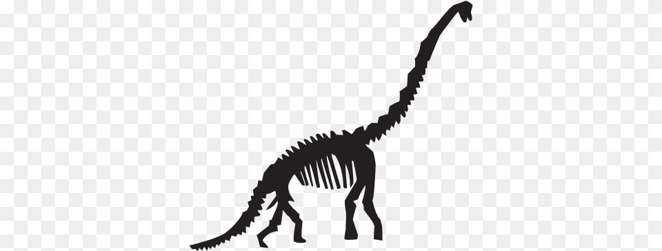 Dinosaur Bone Svg Freeuse Dinosaur Fossils Black And White, Animal, Reptile, T-rex, Mammal Free Transparent Png