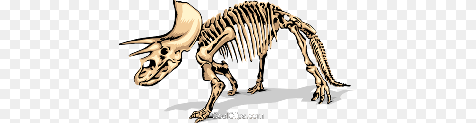 Dinosaur Bones Royalty Vector Clip Art Illustration, Animal, Mammal, Wildlife, Zebra Free Png