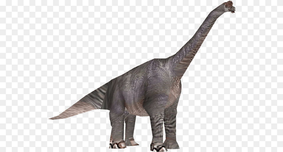 Dinosaur Brachiosaurus Transparent, Animal, Reptile, T-rex Png Image