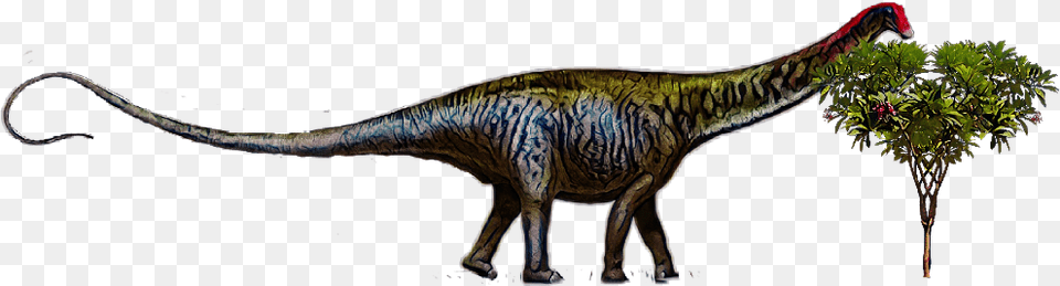 Dinosaur Brontosaurus Brontosaurus Is Back, Animal, Reptile, T-rex Png Image