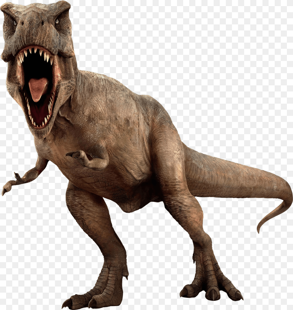 Dinosaur Collections Dinosaur, Animal, Reptile, T-rex Free Png Download