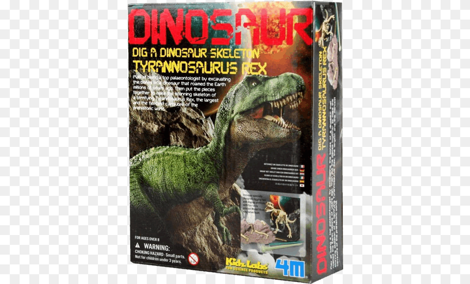 Dinosaur Dig A Dinosaur Skeleton Tyrannosaurus, Animal, Reptile, T-rex, Book Free Png