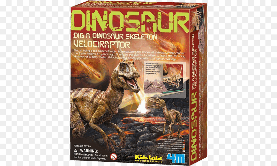 Dinosaur Dig A Dinosaur Skeleton Velociraptor, Animal, Reptile, T-rex Png Image