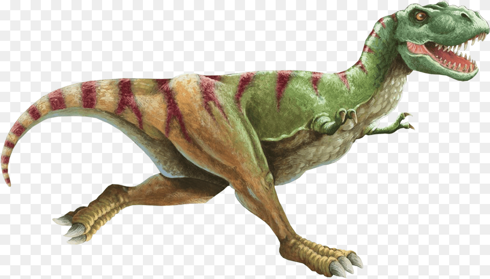 Dinosaur Dino, Animal, Reptile, T-rex Free Transparent Png