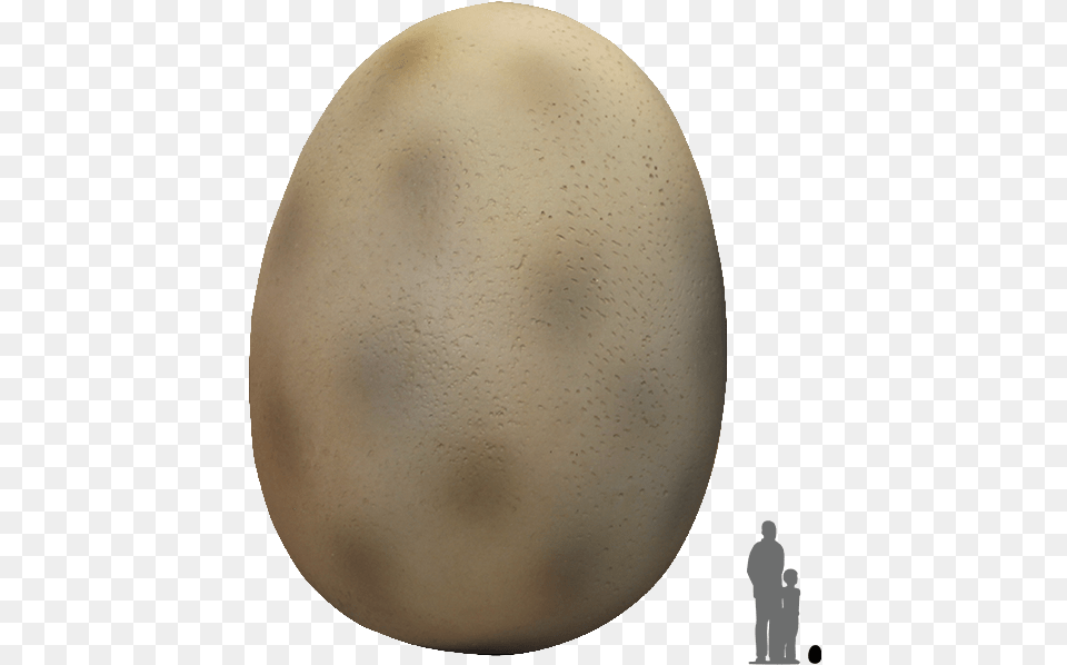 Dinosaur Egg Transparent, Food, Easter Egg, Person Png