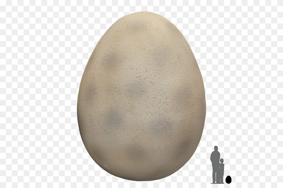 Dinosaur Egg Transparent Dinosaur Egg, Food Free Png