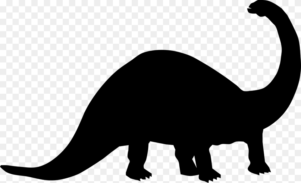 Dinosaur Egg Tyrannosaurus Bird Drawing, Gray Free Png Download