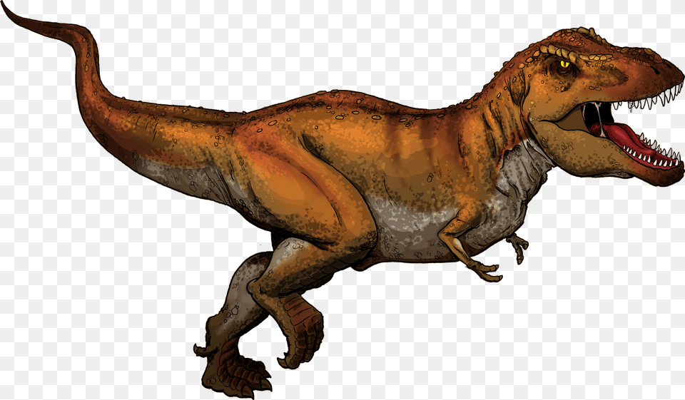 Dinosaur Flashcard, Animal, Reptile, T-rex Free Transparent Png