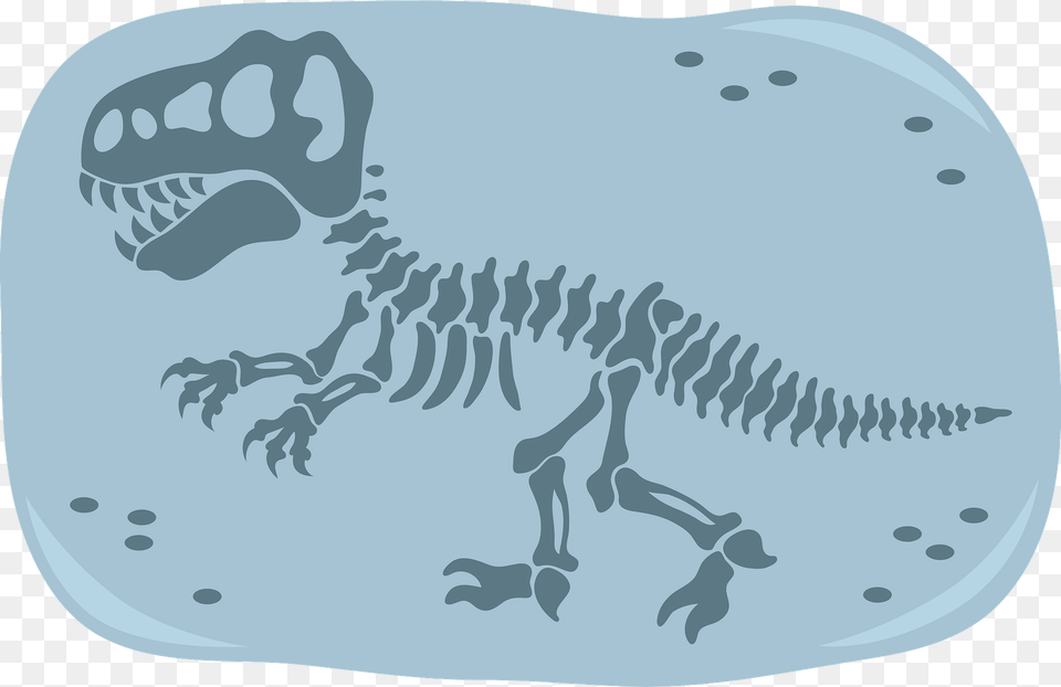 Dinosaur Fossil Clipart, Animal, Reptile, Hot Tub, Tub Png