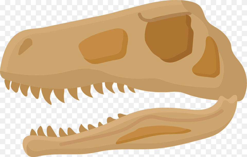 Dinosaur Fossil Clipart, Animal, Reptile, T-rex, Fish Free Png Download