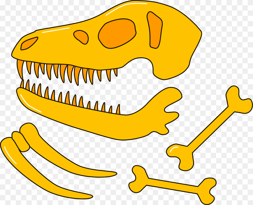 Dinosaur Fossil Clipart, Animal, Fish, Sea Life, Shark Free Transparent Png