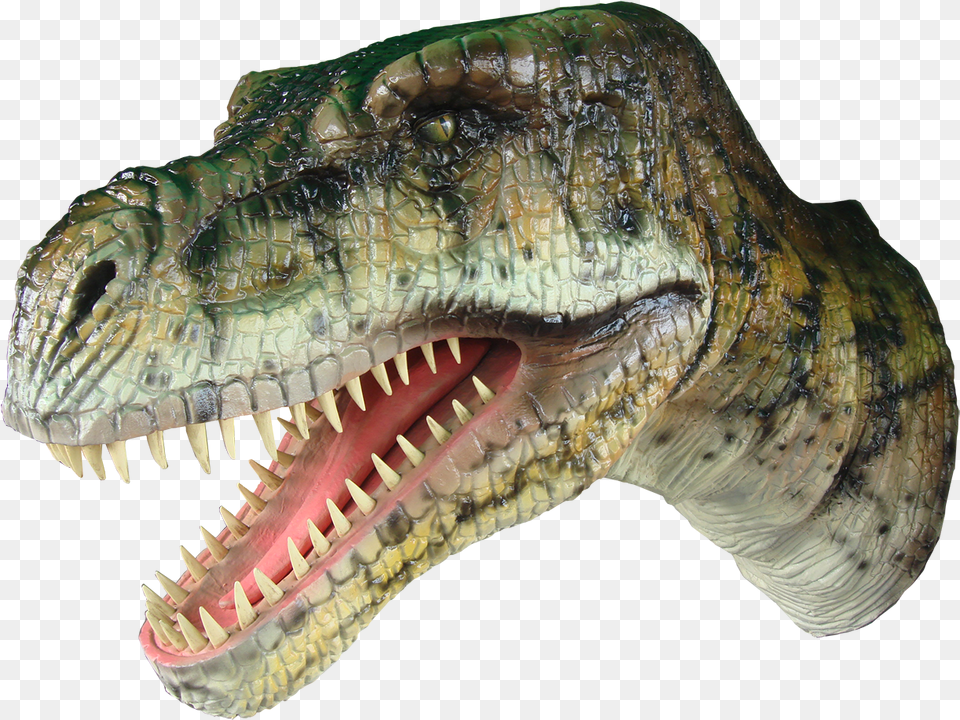 Dinosaur Head Hanging Tyrannosaurus, Animal, Reptile, T-rex Free Png