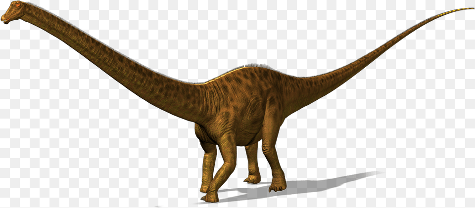 Dinosaur Image Diplodocus, Animal, Reptile, T-rex Free Png Download