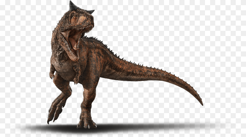 Dinosaur Image Carnotaurus Jurassic World, Animal, Reptile, T-rex Free Png Download