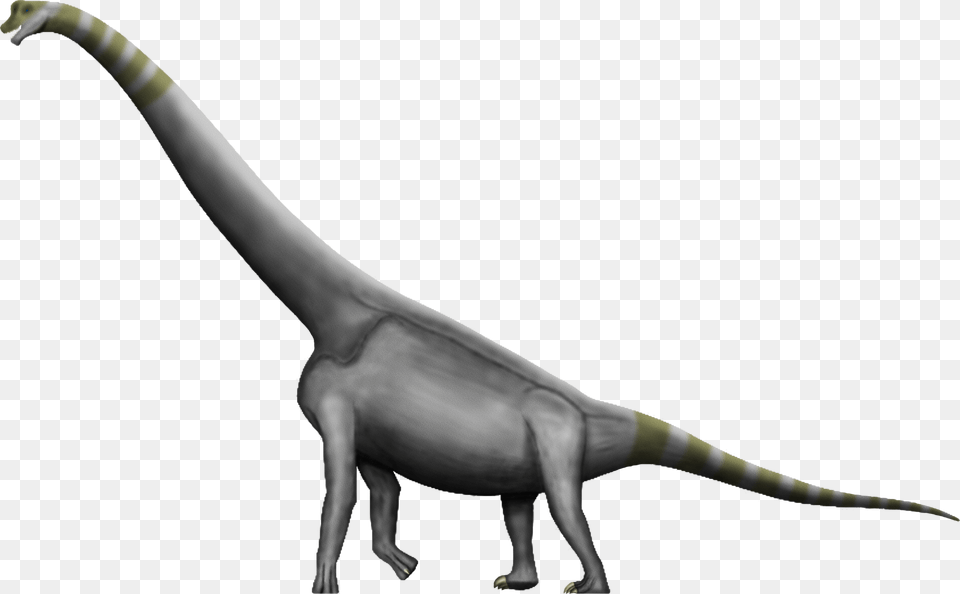 Dinosaur Images Transparent, Animal, Reptile, T-rex, Person Png