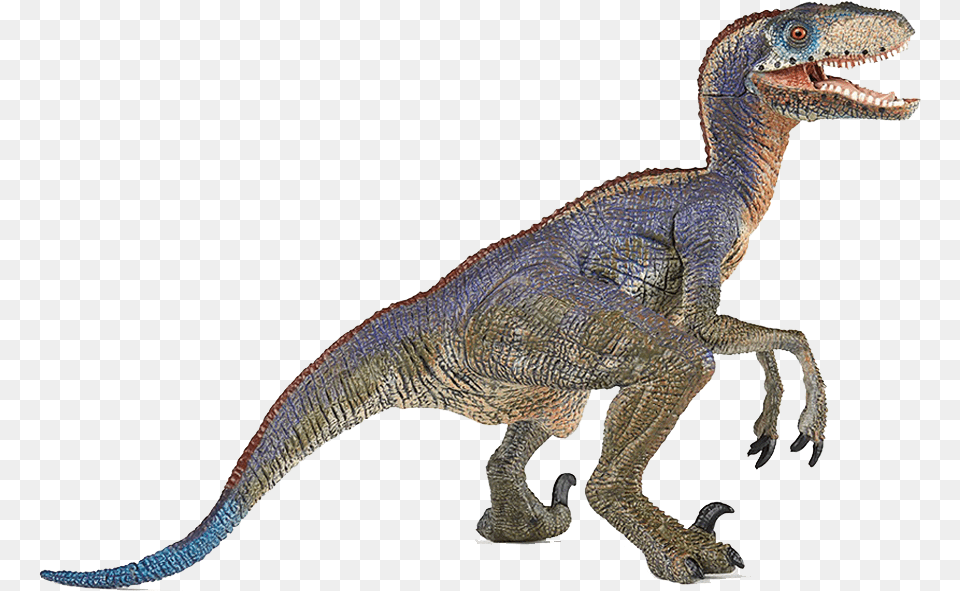 Dinosaur Images Velociraptor Dinosaurs, Animal, Reptile, T-rex Free Transparent Png