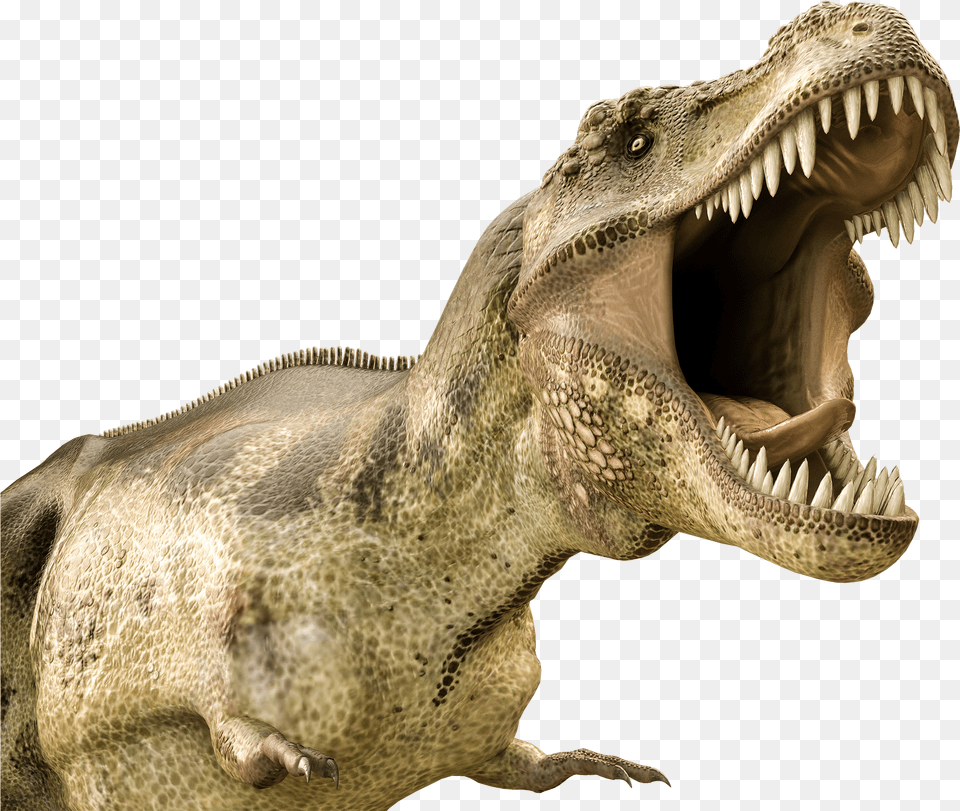 Dinosaur Jaws Png Image