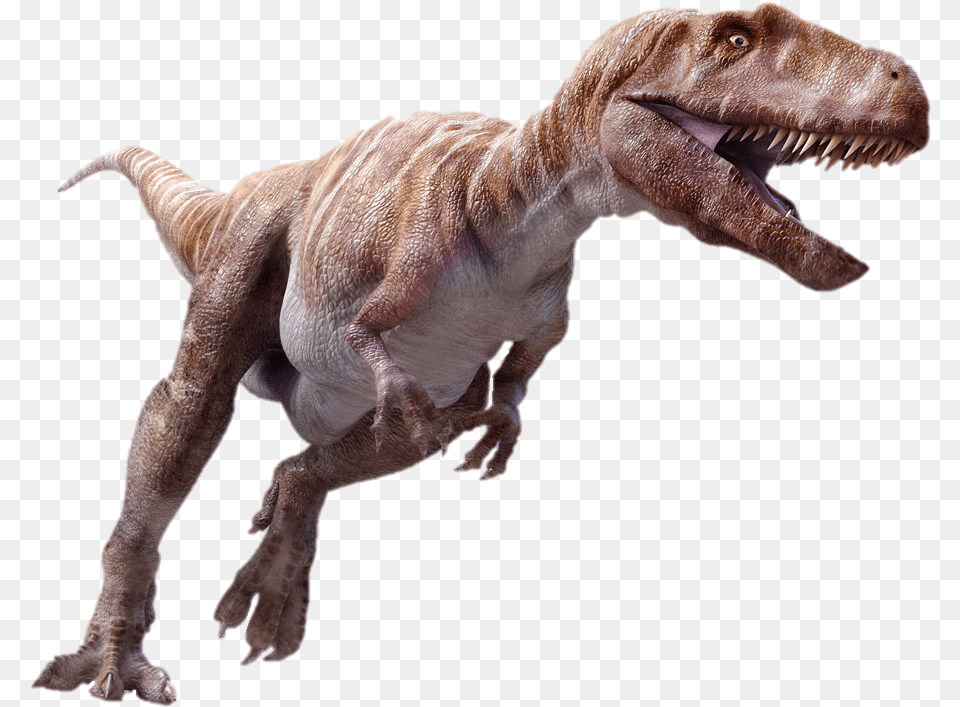 Dinosaur Megalosaurus Dinosaur, Animal, Reptile, T-rex Free Png Download