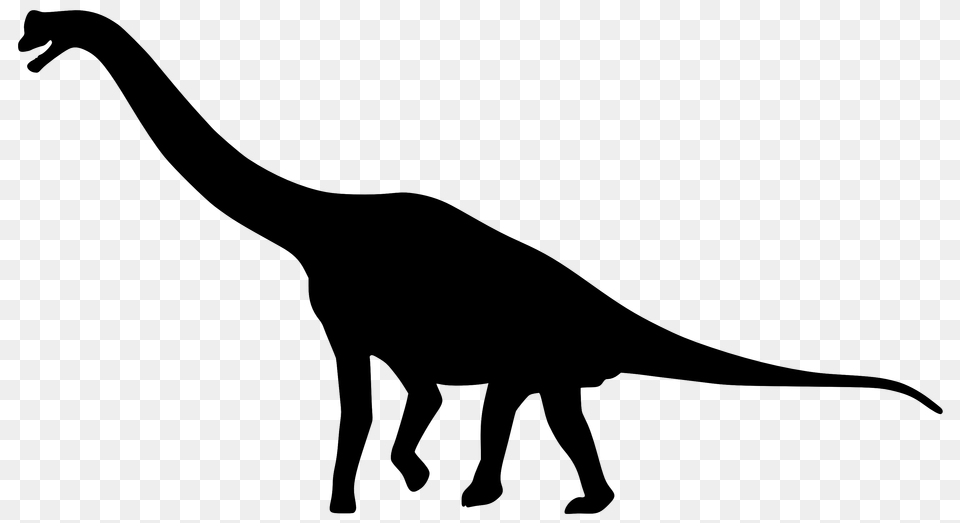 Dinosaur Outlines, People, Person, Silhouette, Cross Png Image