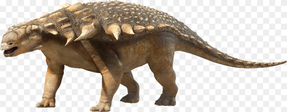 Dinosaur Photo Dinosaurs With Body Armour, Animal, Reptile, Electronics, Hardware Free Png Download