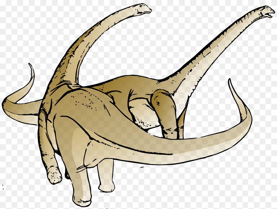 Dinosaur Pics, Animal, Reptile, Kangaroo, Mammal Png Image