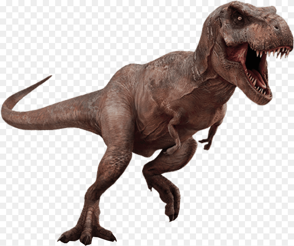 Dinosaur Picture T Rex Background, Animal, Reptile, T-rex Free Transparent Png