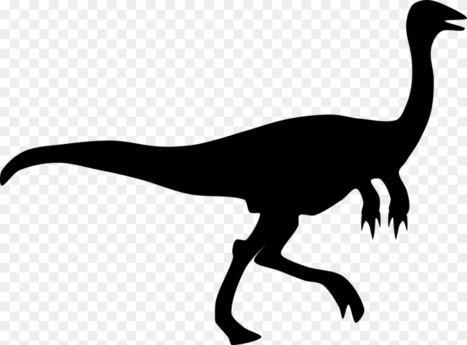 Dinosaur Raptor Silhouette Jurassic Animal Gallimimus Clip Art, Gray Png Image